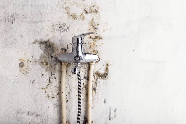 Best Mold Removal Specialists  in Crystal Lakes, OH