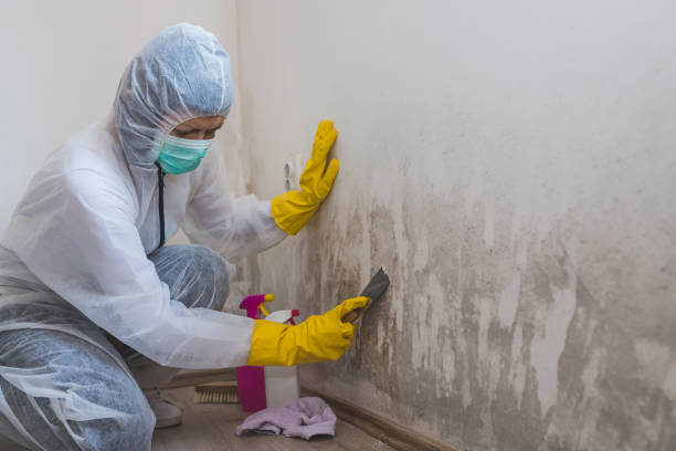 Best Emergency Mold Removal  in Crystal Lakes, OH