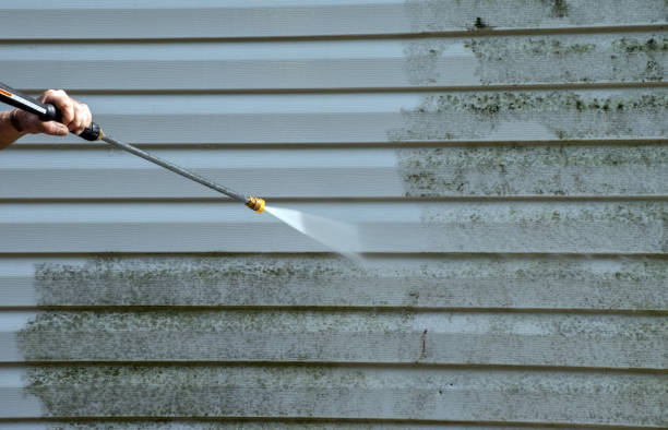 Best Commercial Mold Removal  in Crystal Lakes, OH
