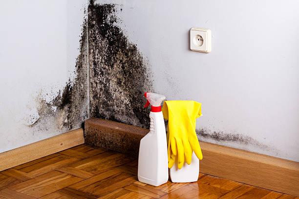 Best Crawl Space Mold Removal  in Crystal Lakes, OH